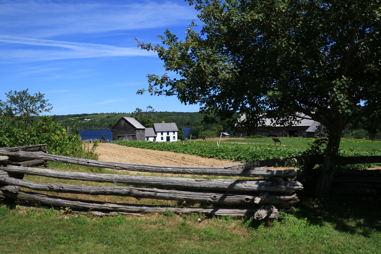 farm tourist kings landing free photo