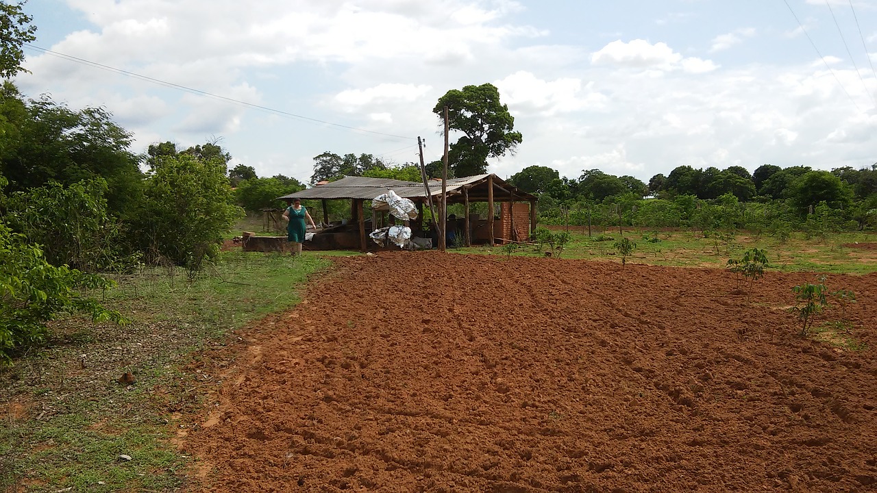 farm rural zone earth free photo