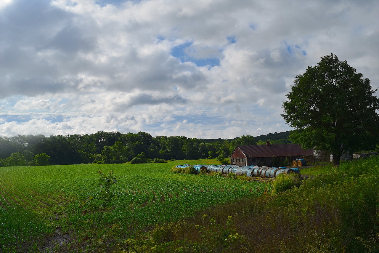 farm landscape tree free photo