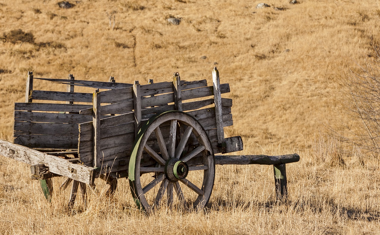 farm wagon field free photo