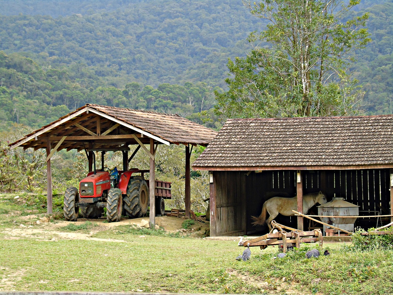 farm corral creation free photo