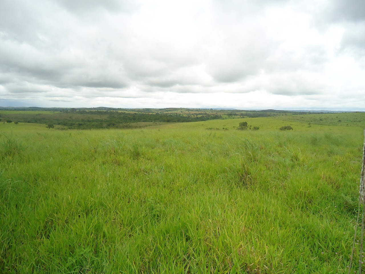 farm green landscape free photo