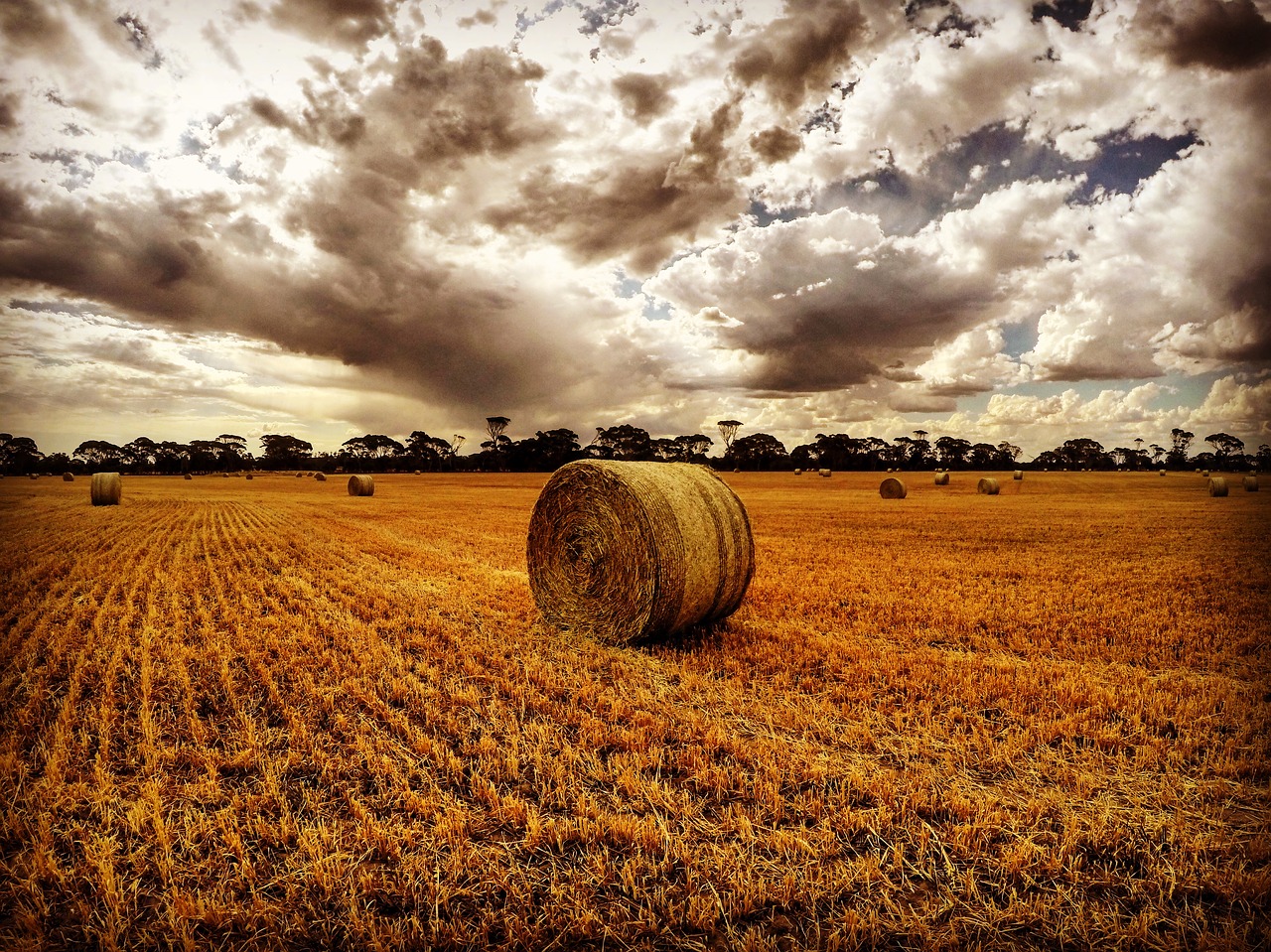 farm haystack nature free photo