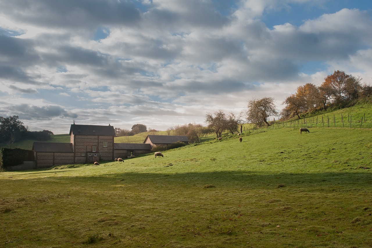 farm landscape normandy free photo