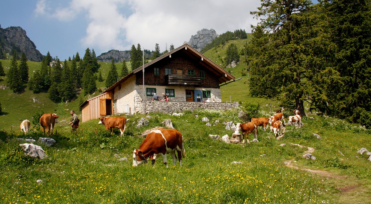 farm agriculture grass free photo