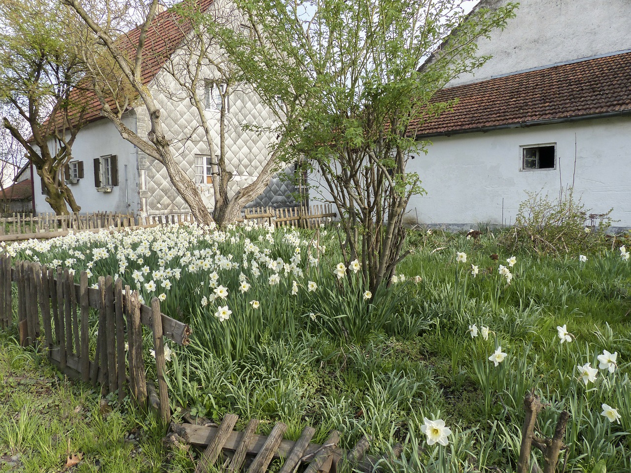 farm buildings scenery free photo