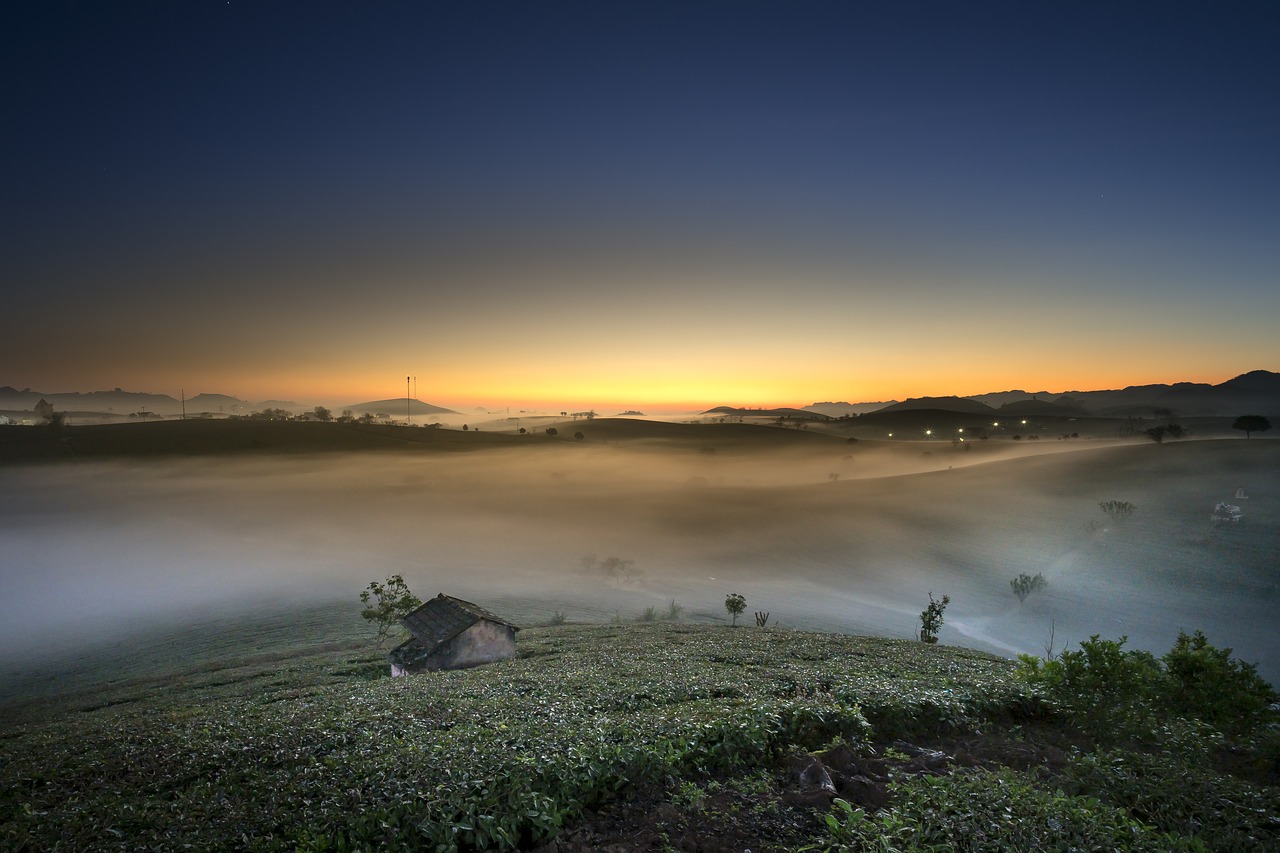 farm  the morning  tea free photo