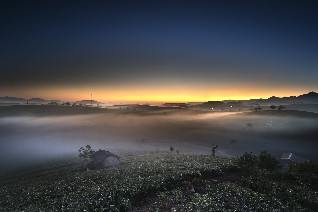 farm  the morning  tea free photo