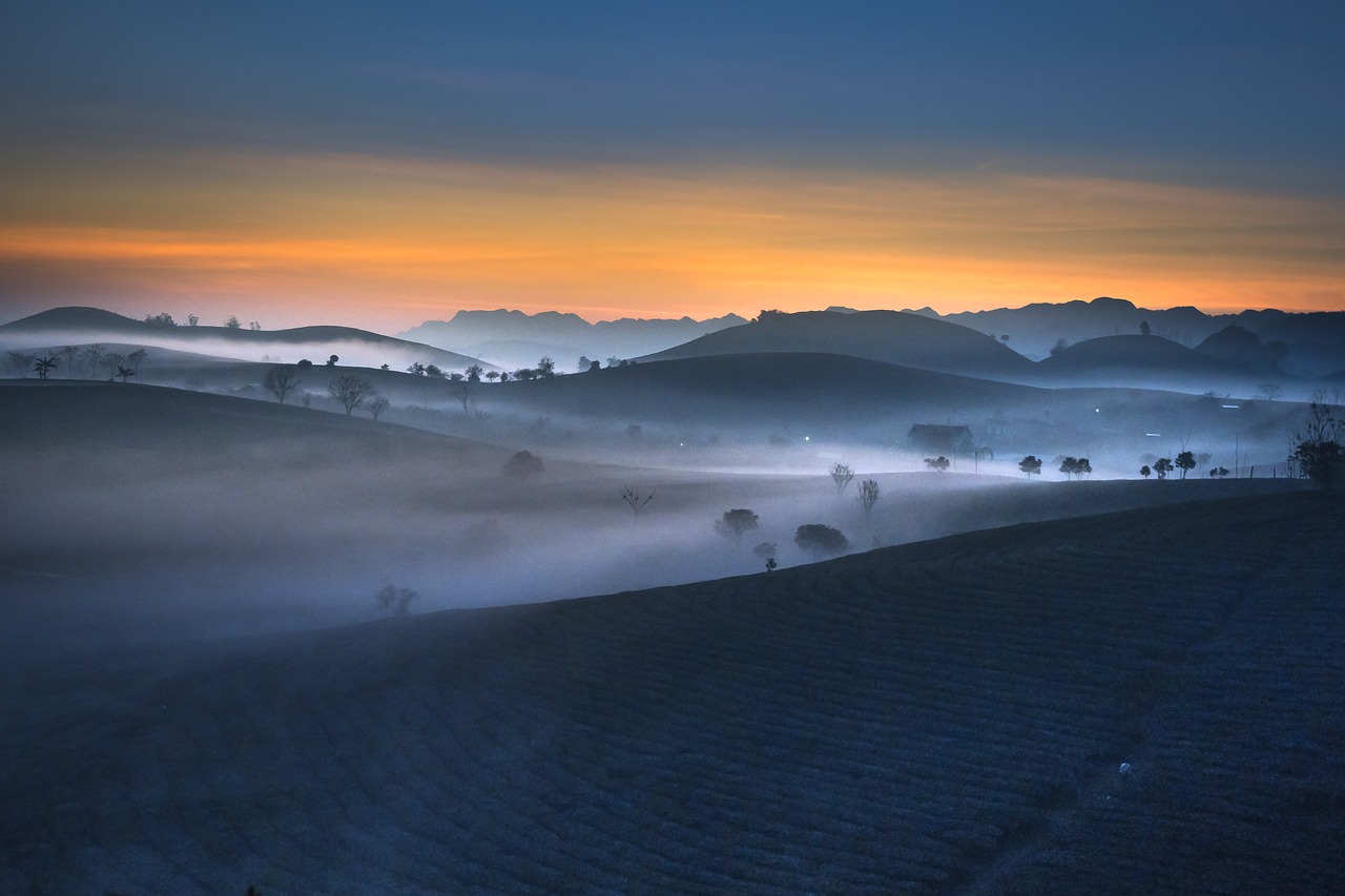 farm  the morning  sơnla free photo