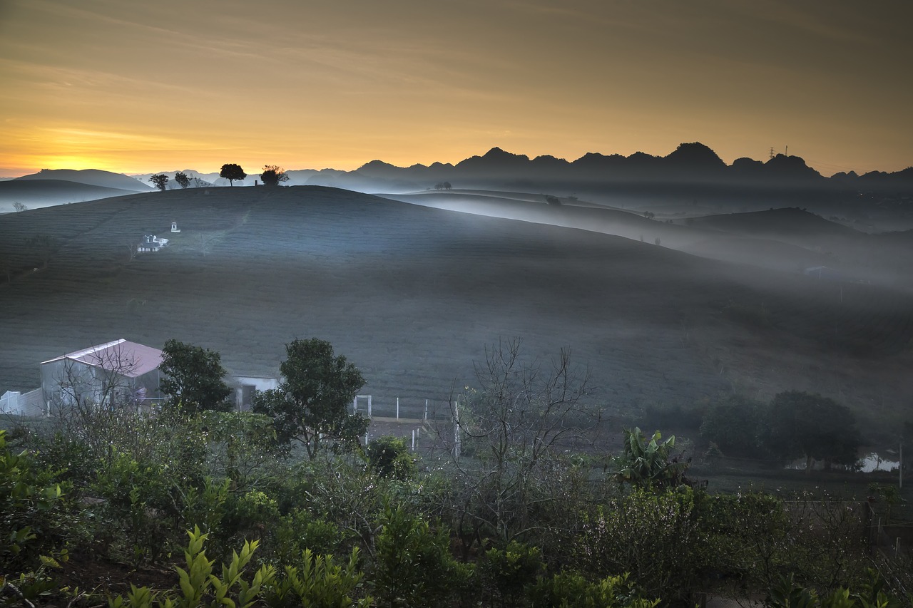 farm  the morning  sơnla free photo