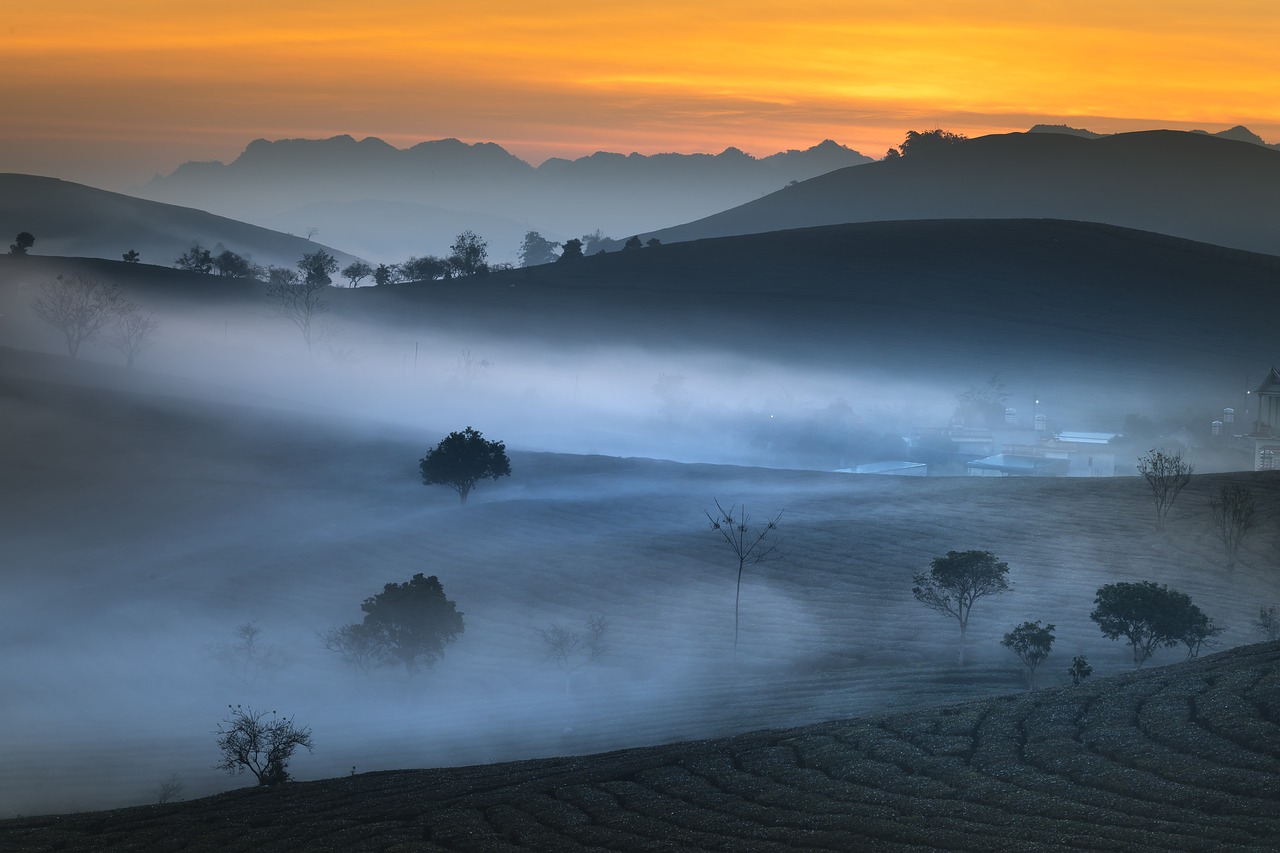 farm  the morning  sơnla free photo