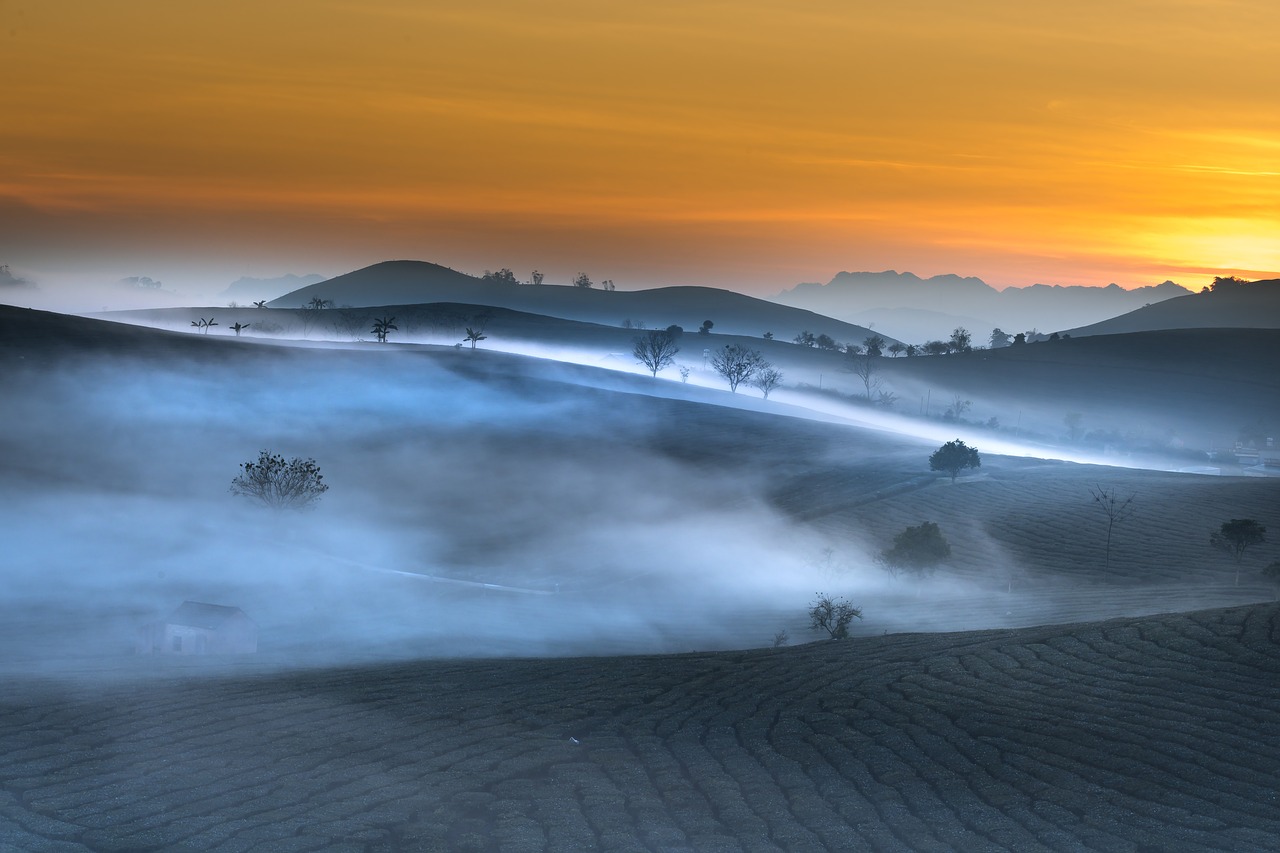 farm  the morning  sơnla free photo