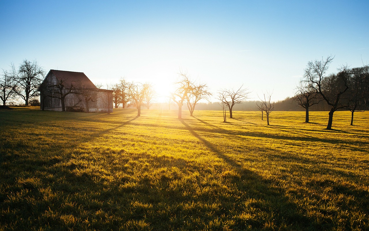 farm shed cabin free photo