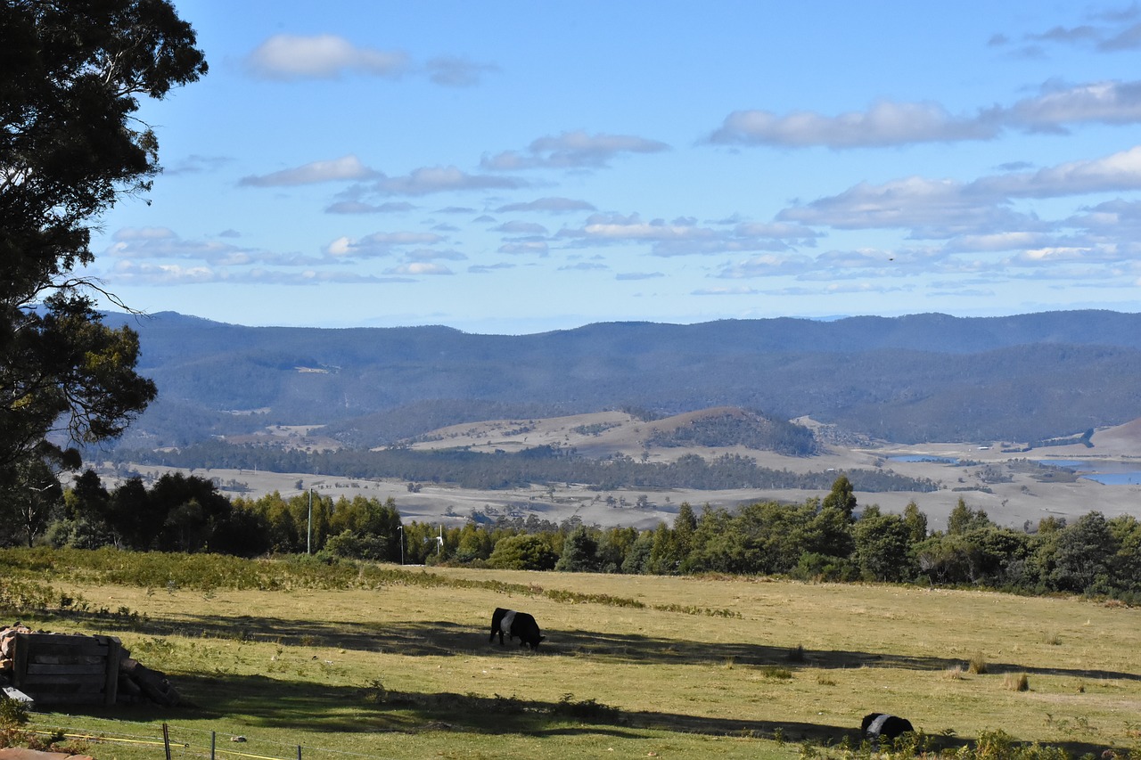 farm  scenery  valley free photo