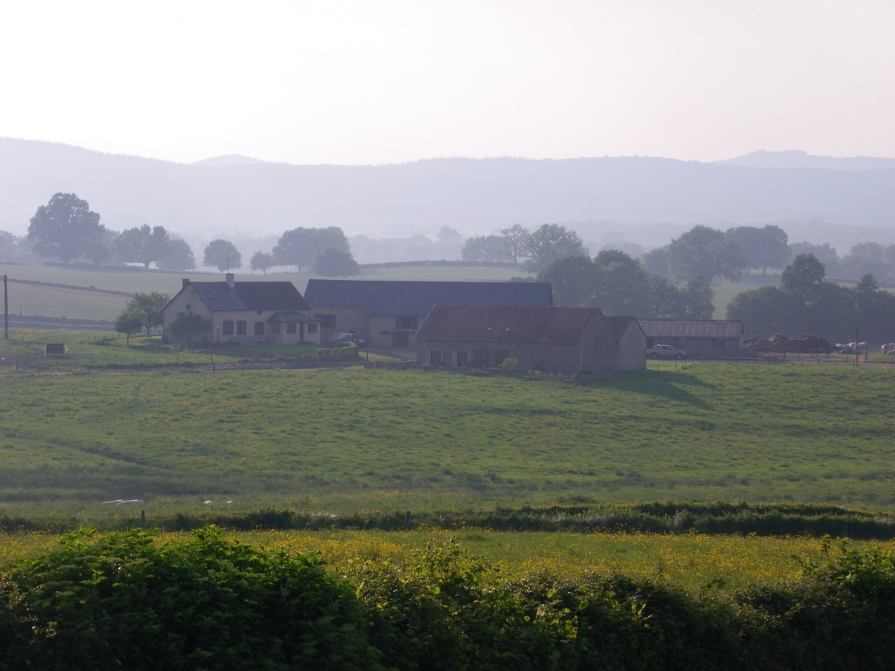 farm  sunset  nature free photo