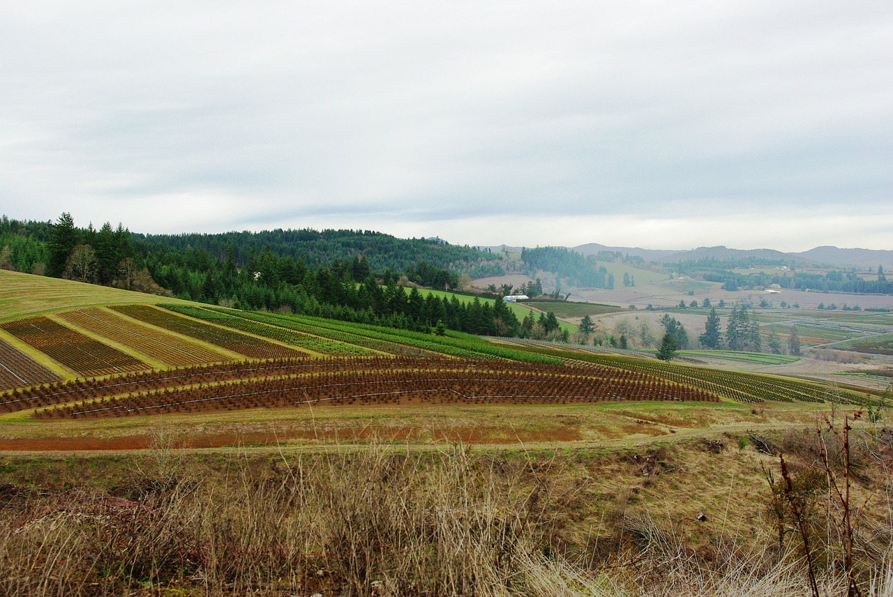 farm farmland nature free photo