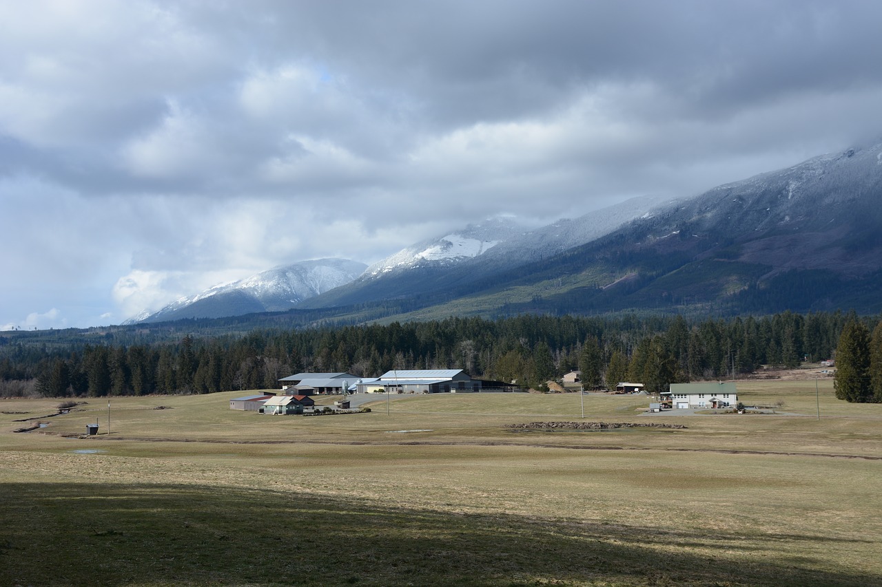 farm  barn  field free photo