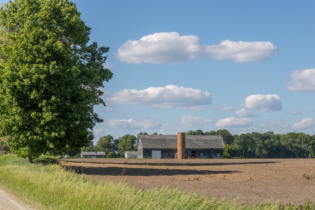 farm  rural  agriculture free photo