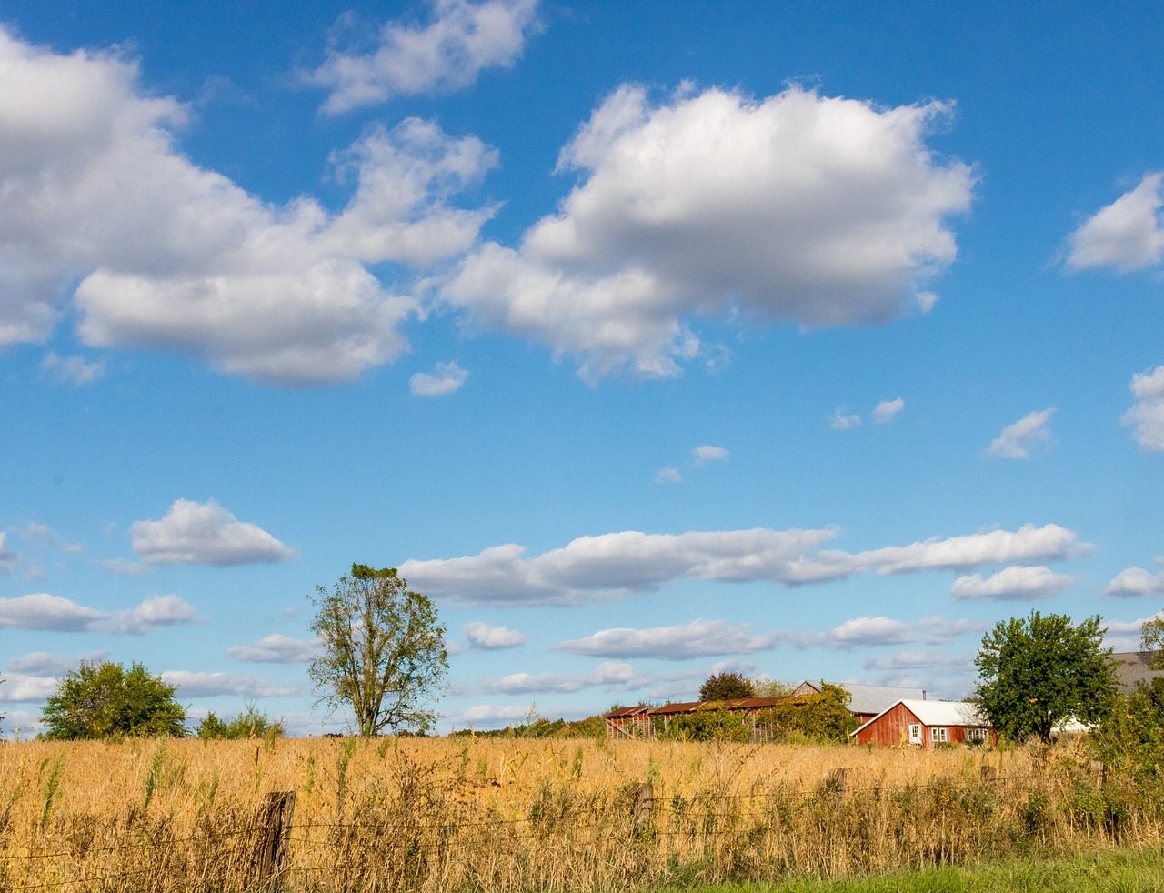 farm  rural  countryside free photo