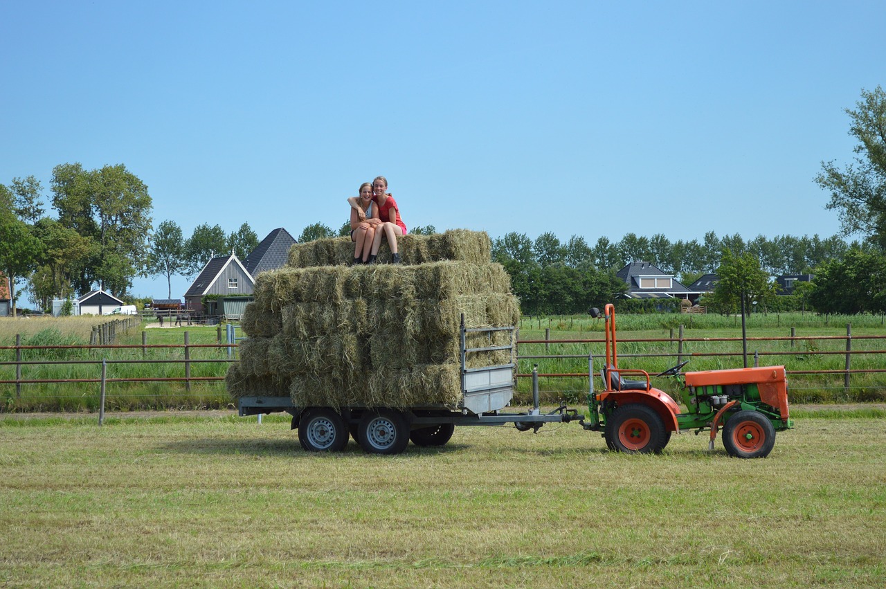 farm  haystack  countryside free photo
