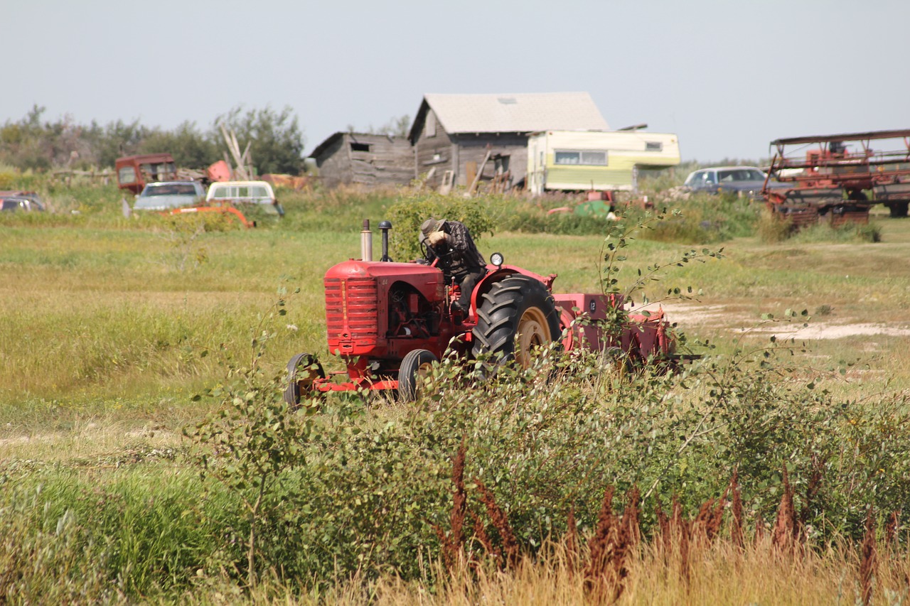 farm  farmer  tractor free photo