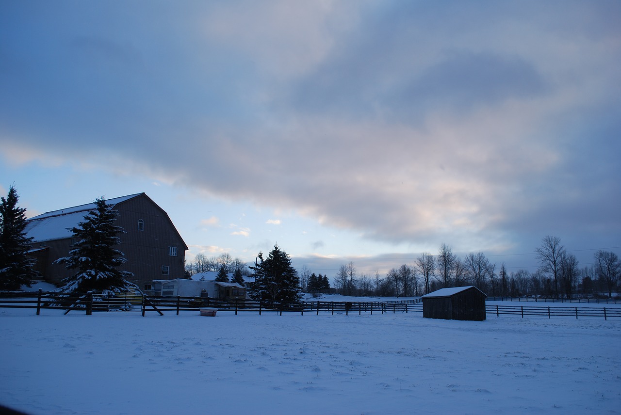 farm  barn  winter free photo