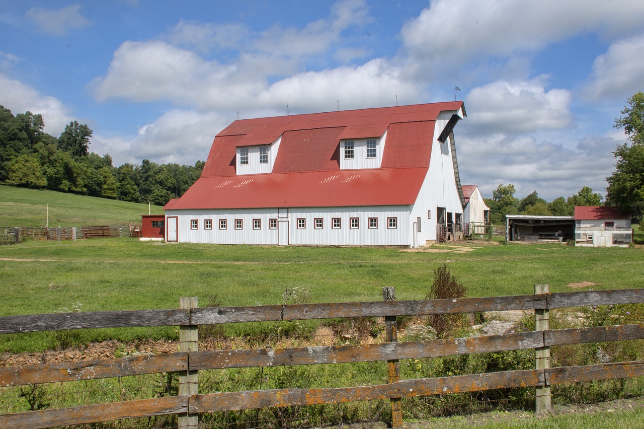 farm  barn  nature free photo