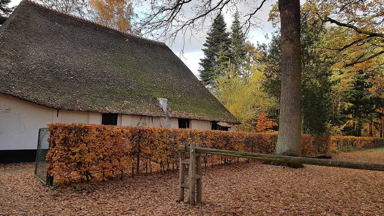 farm  belgium  old free photo