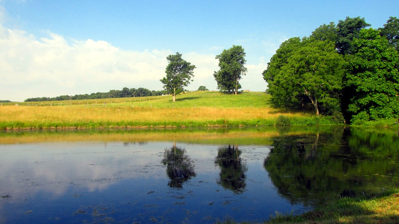 farm pond summer free photo