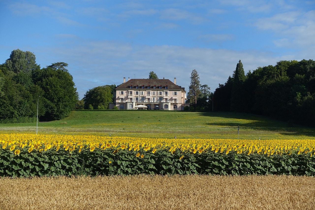 farm  crop  house free photo