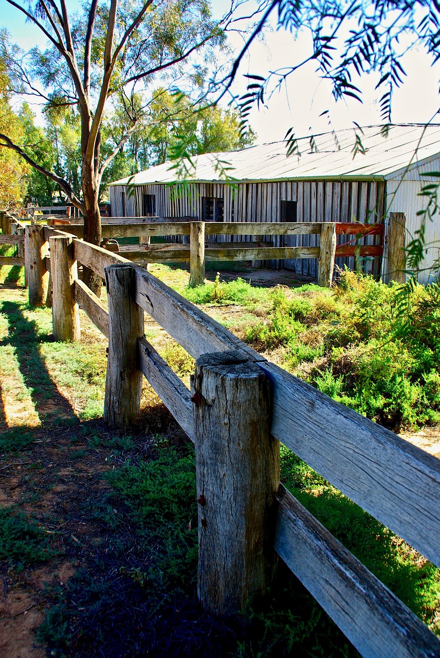 farm  fence  building free photo