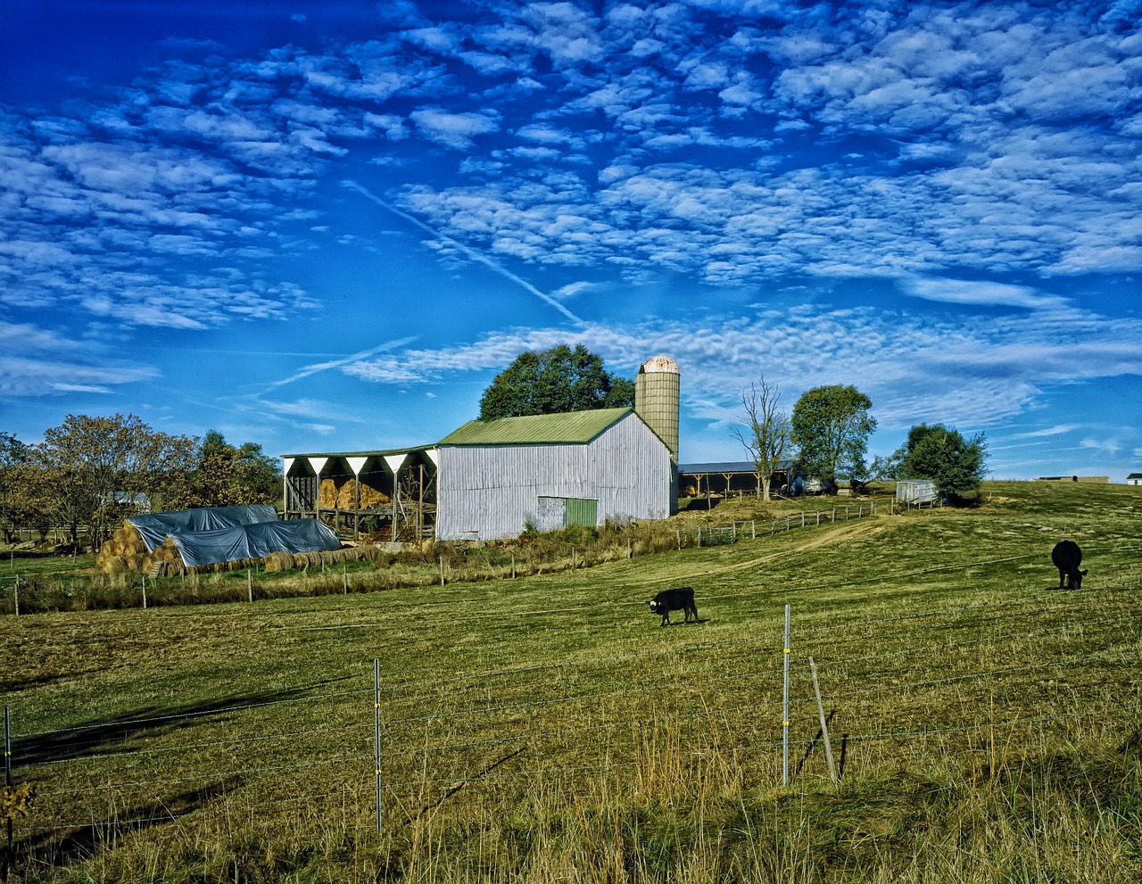 farm rural sky free photo