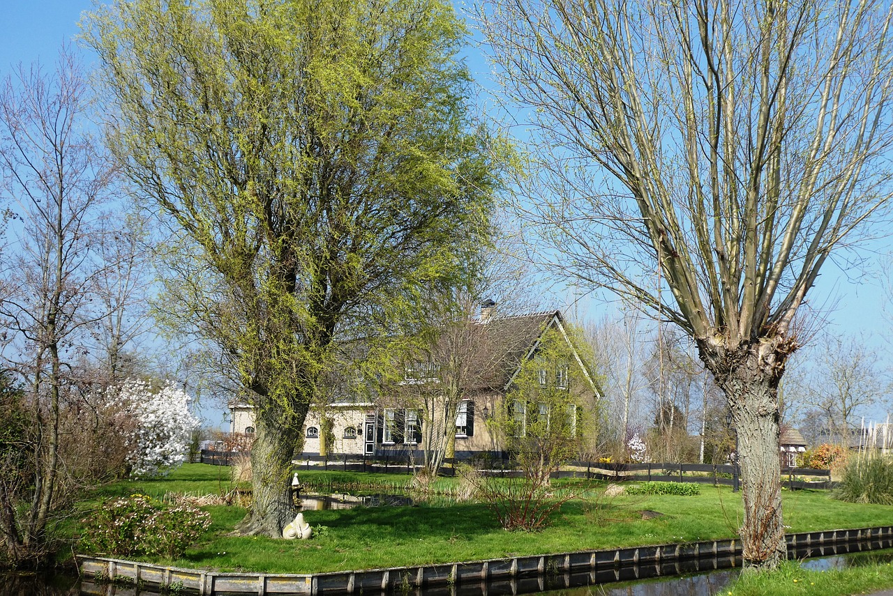 farm  polder  spring free photo