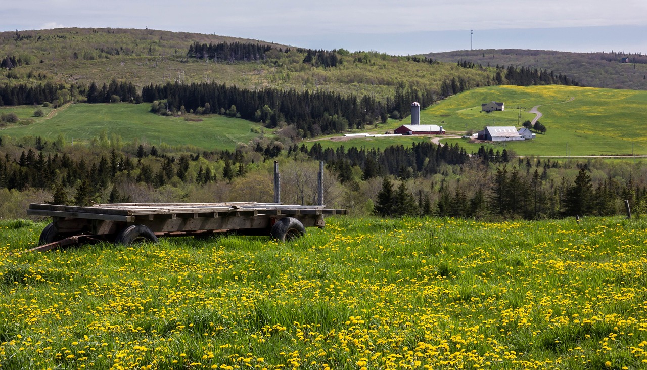 farm  field  garden free photo