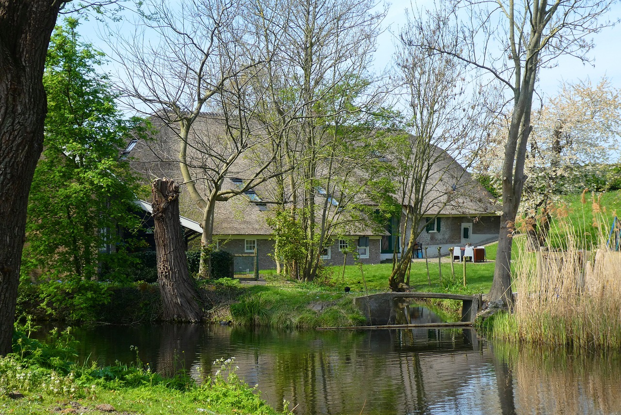 farm  spring  thatched roof free photo