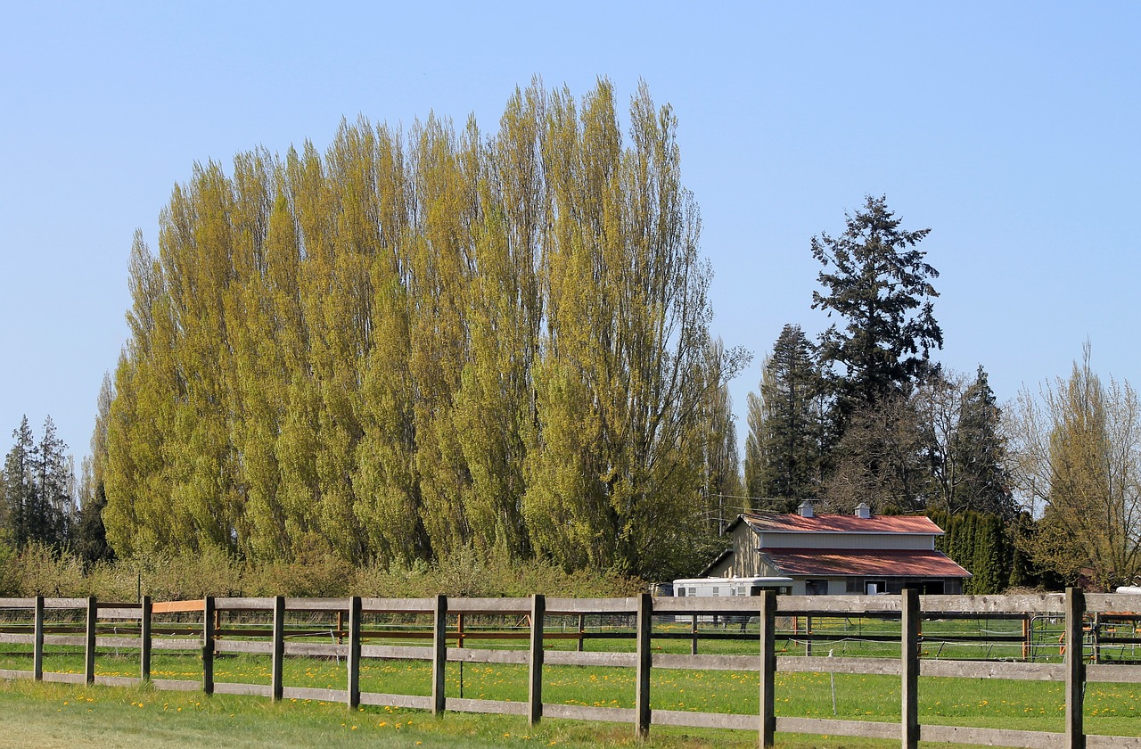 farm  field  barn free photo