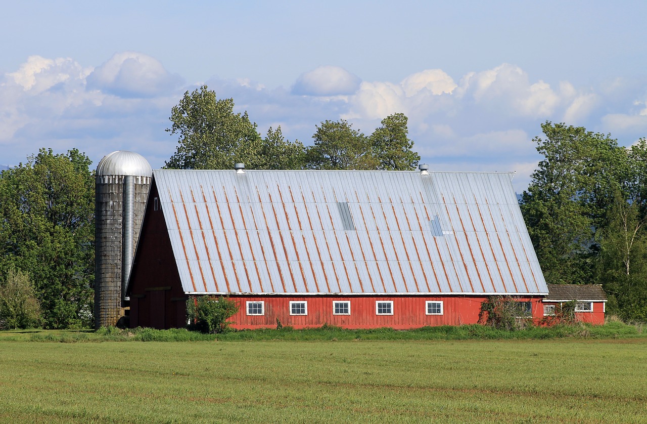 farm  barn  silo free photo