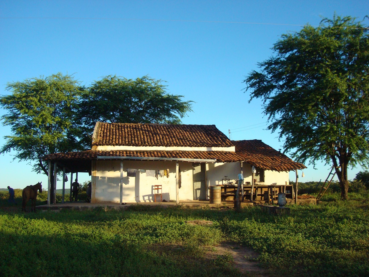 farm rural uiraúna-pb free photo