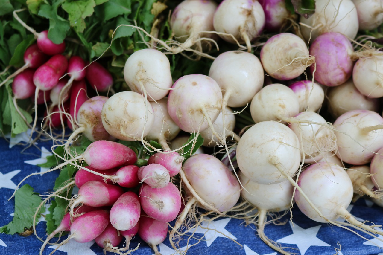 farm  produce  harvest free photo