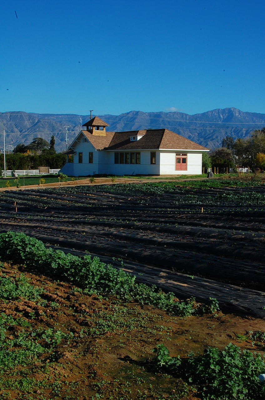 farm california organic farming free photo