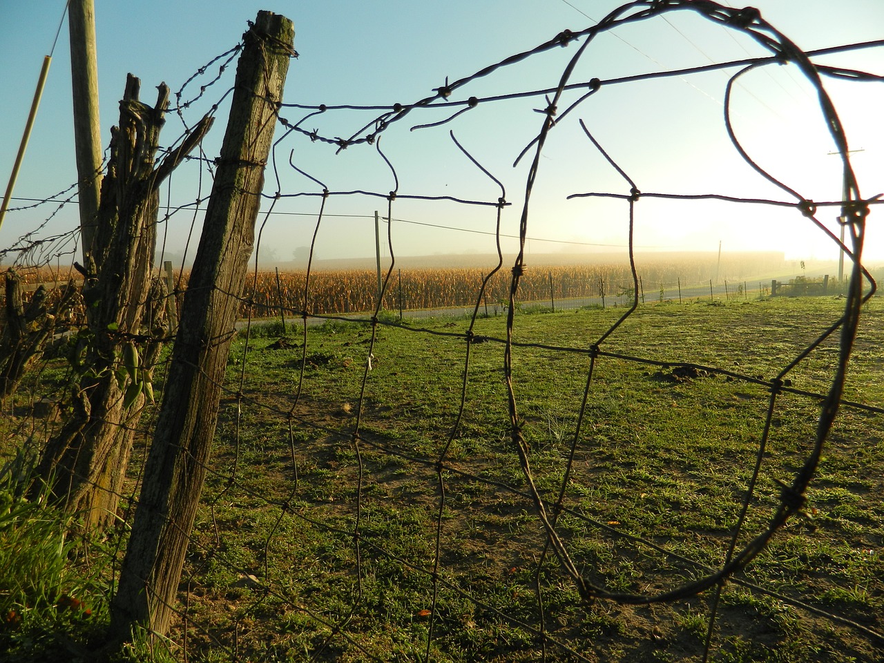 farm fence rural free photo