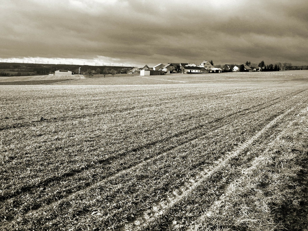 farm landscape rural free photo