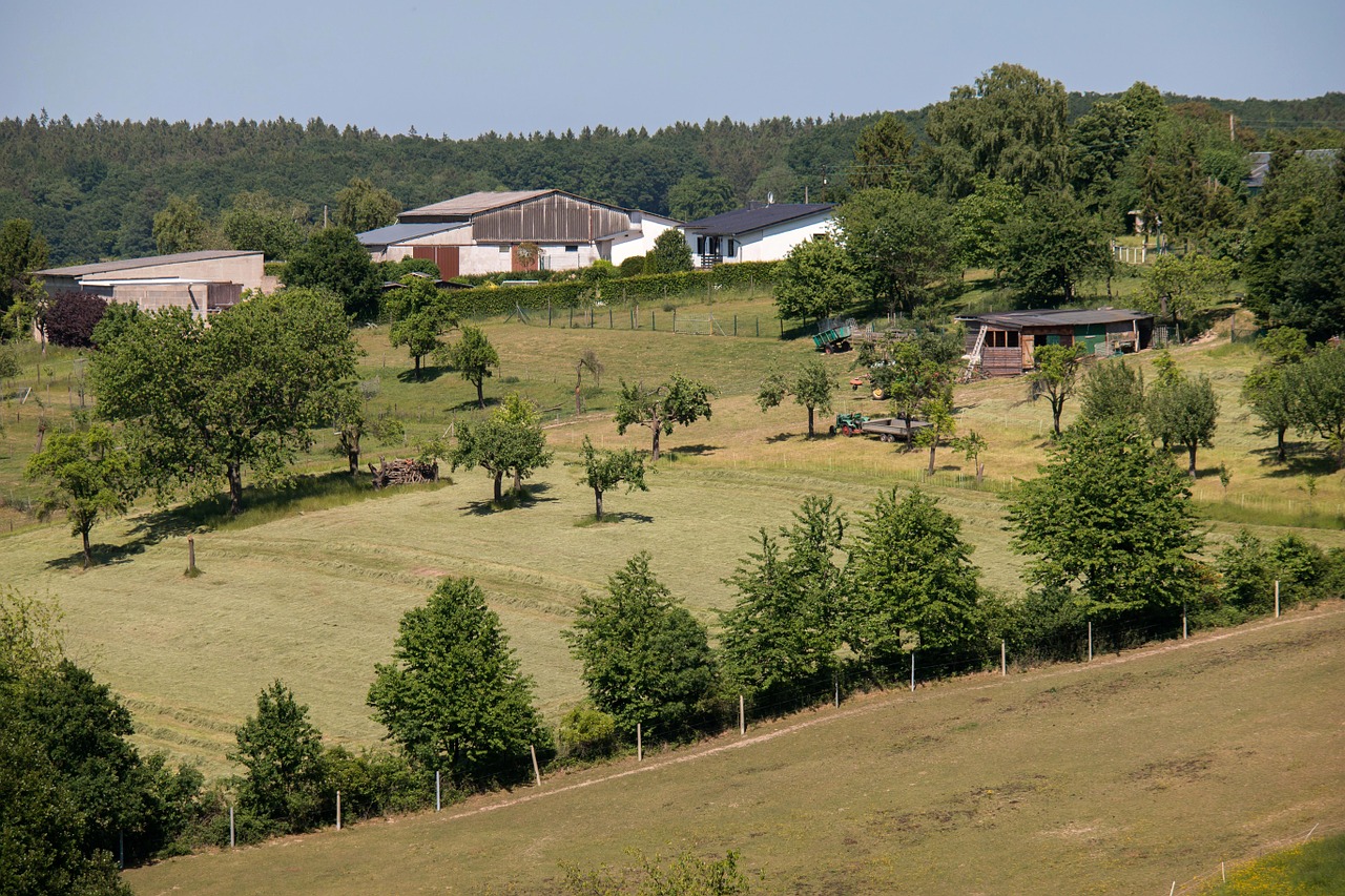 farm eifel agriculture free photo