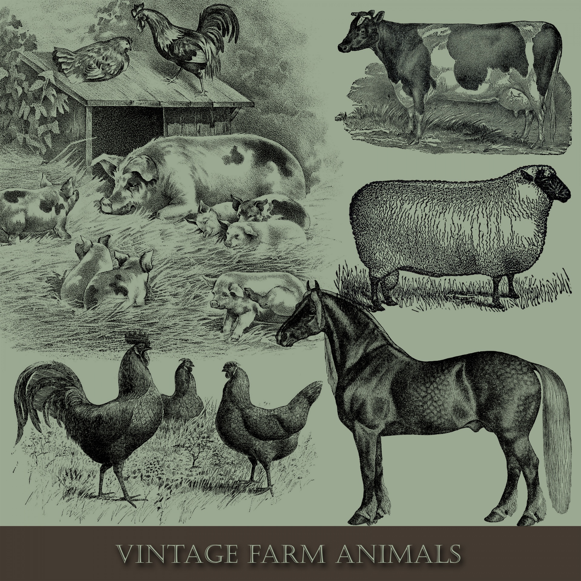Рисунки сельскохозяйственных животных