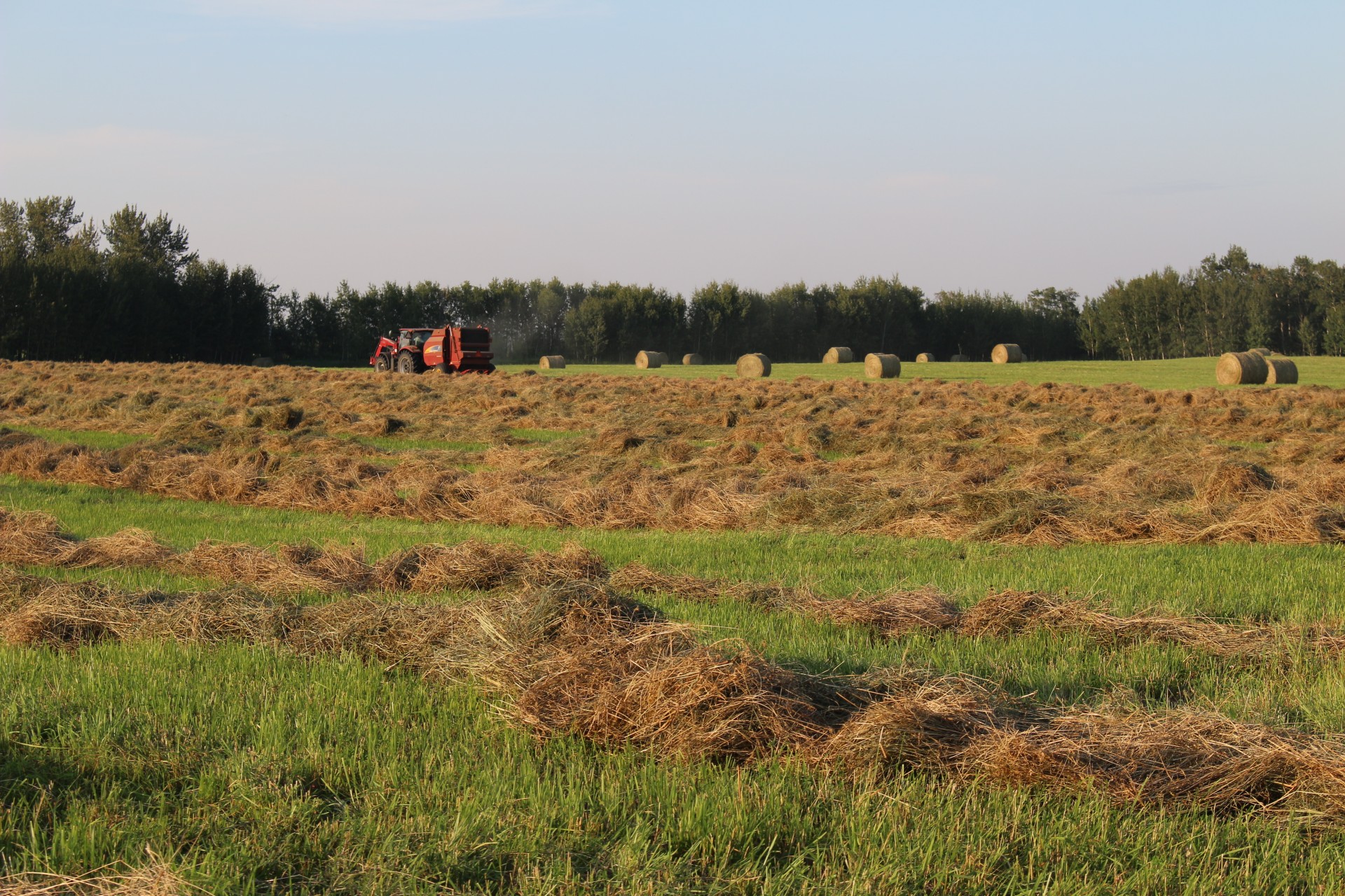 farm baler round free photo