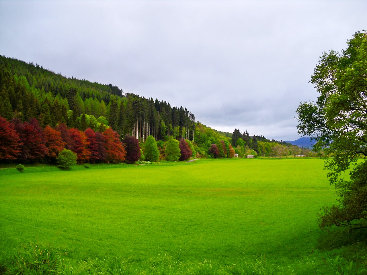 farm field dunkeld scotland countryside lush free photo