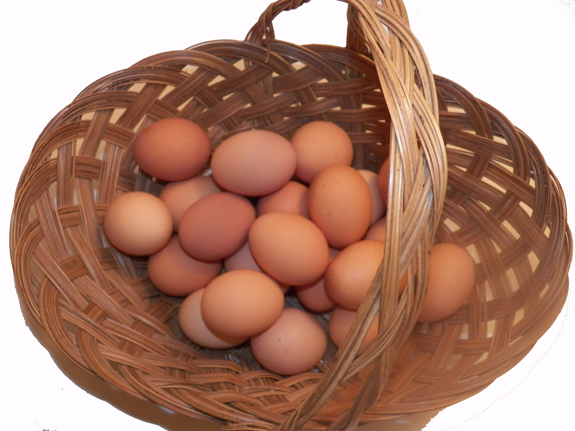 egg eggs basket free photo