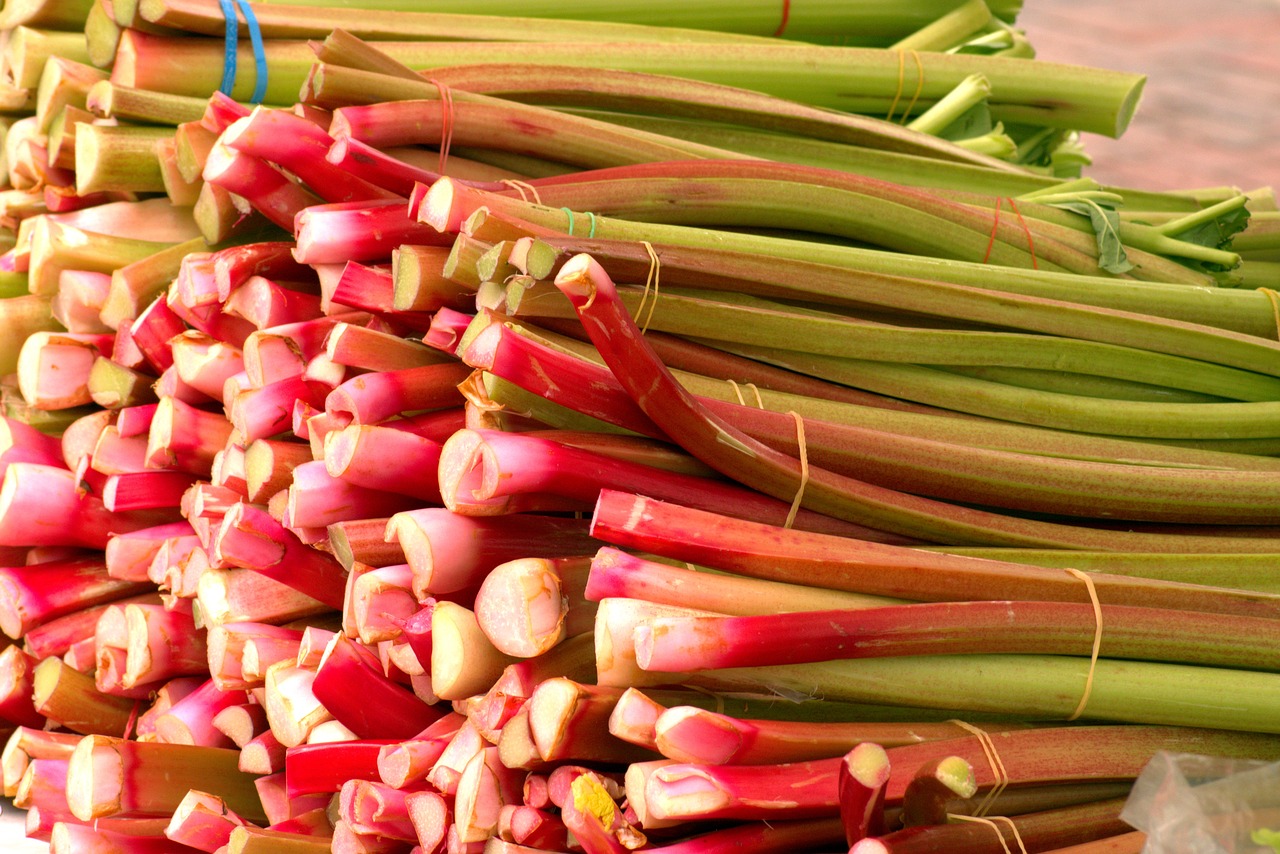 farm fresh rhubarb  vegetables  food free photo