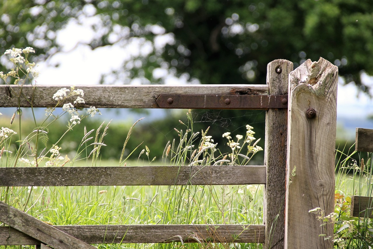 farm gate countryside landscape free photo