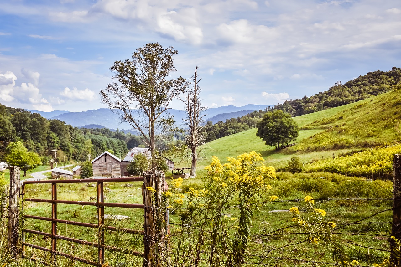 farm land  barn  blue sky free photo